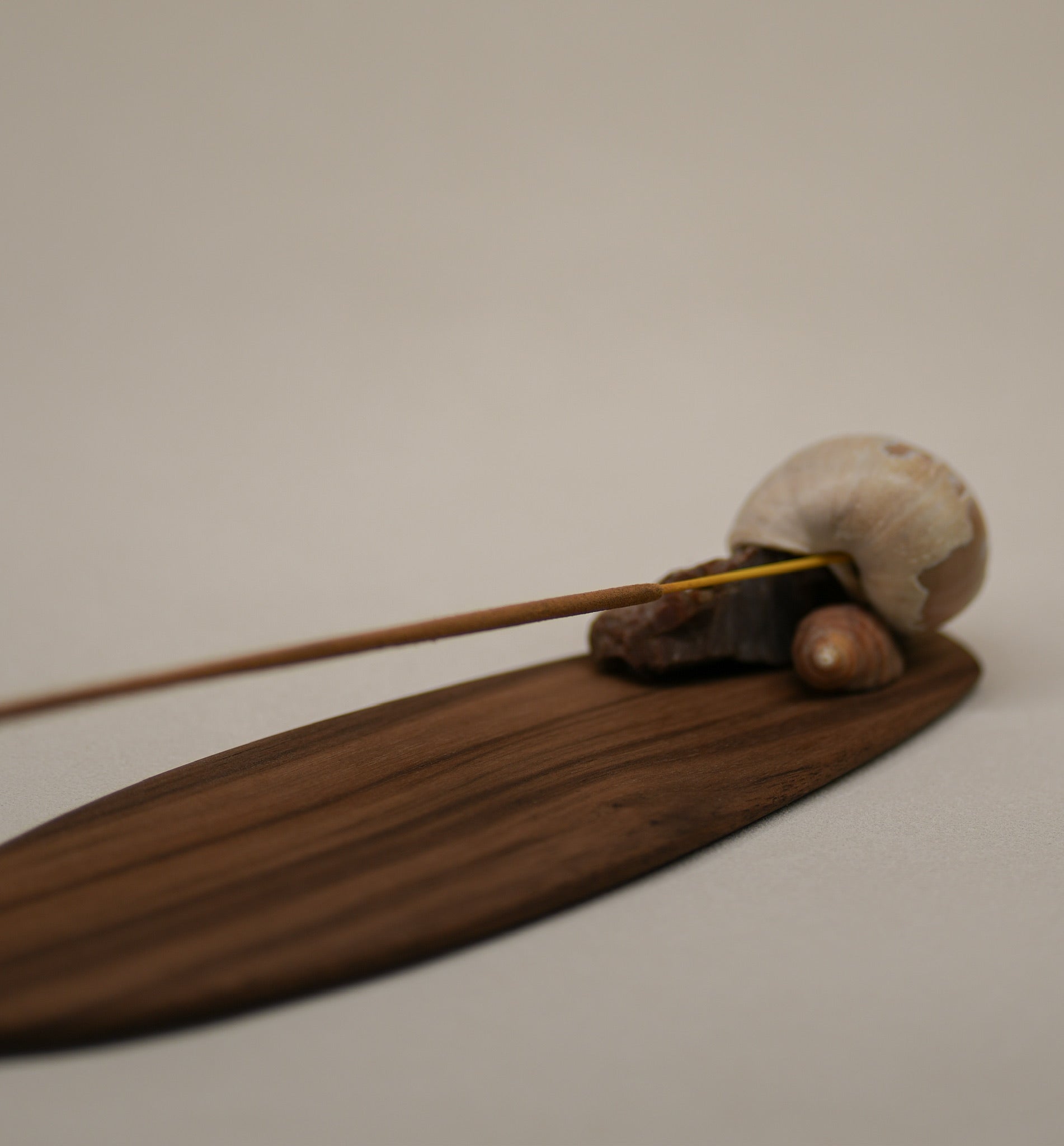Seashell Incense Holder
