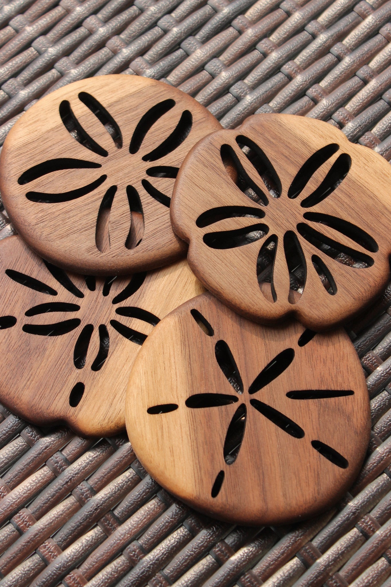Sand Dollar Coaster