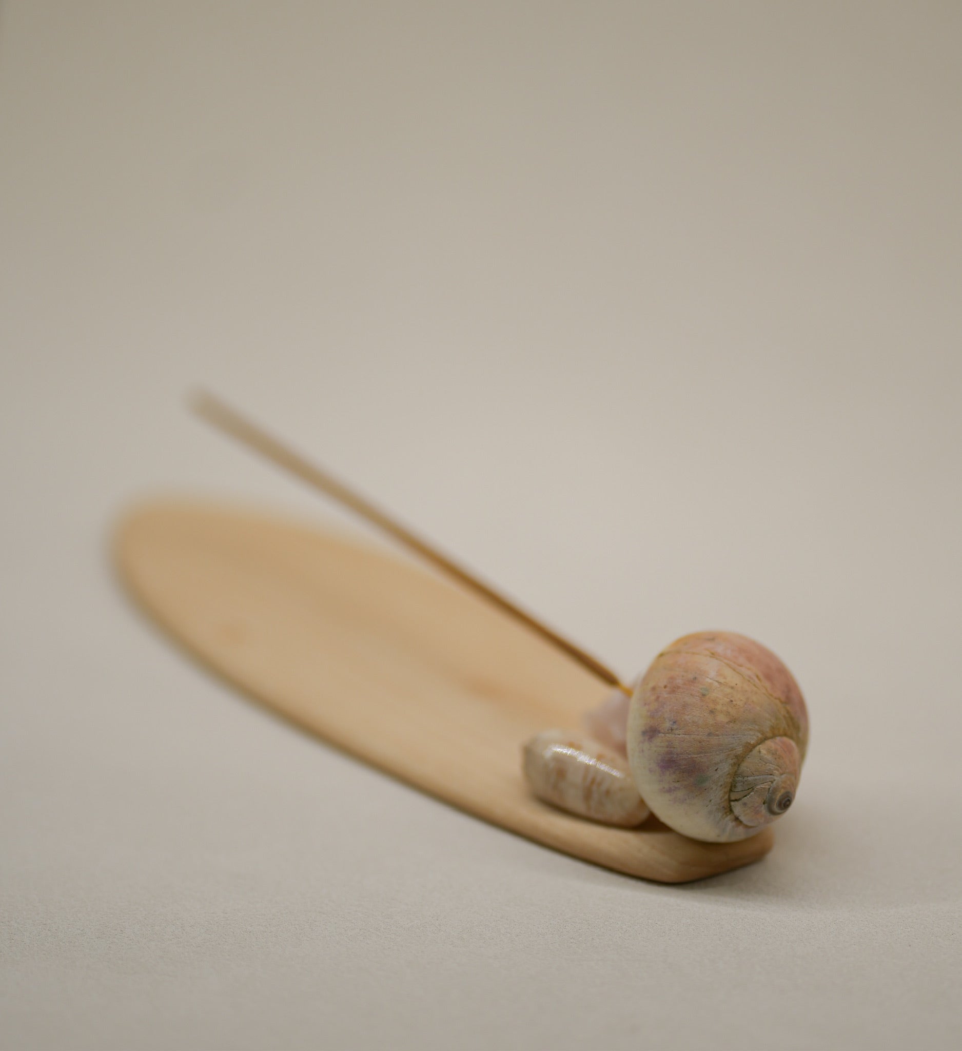 Seashell Incense Holder