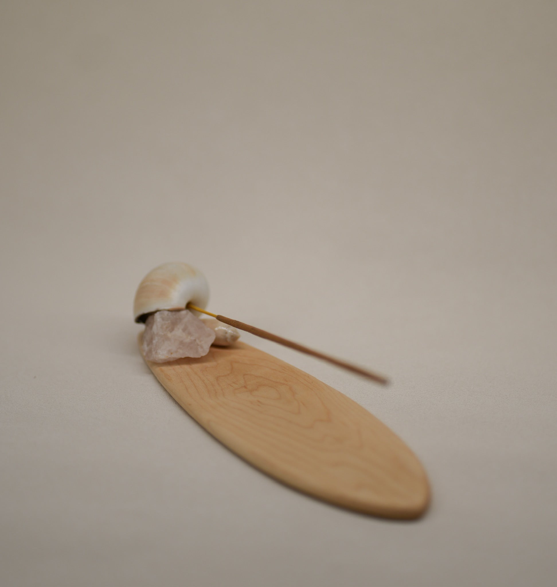 Seashell Incense Holder