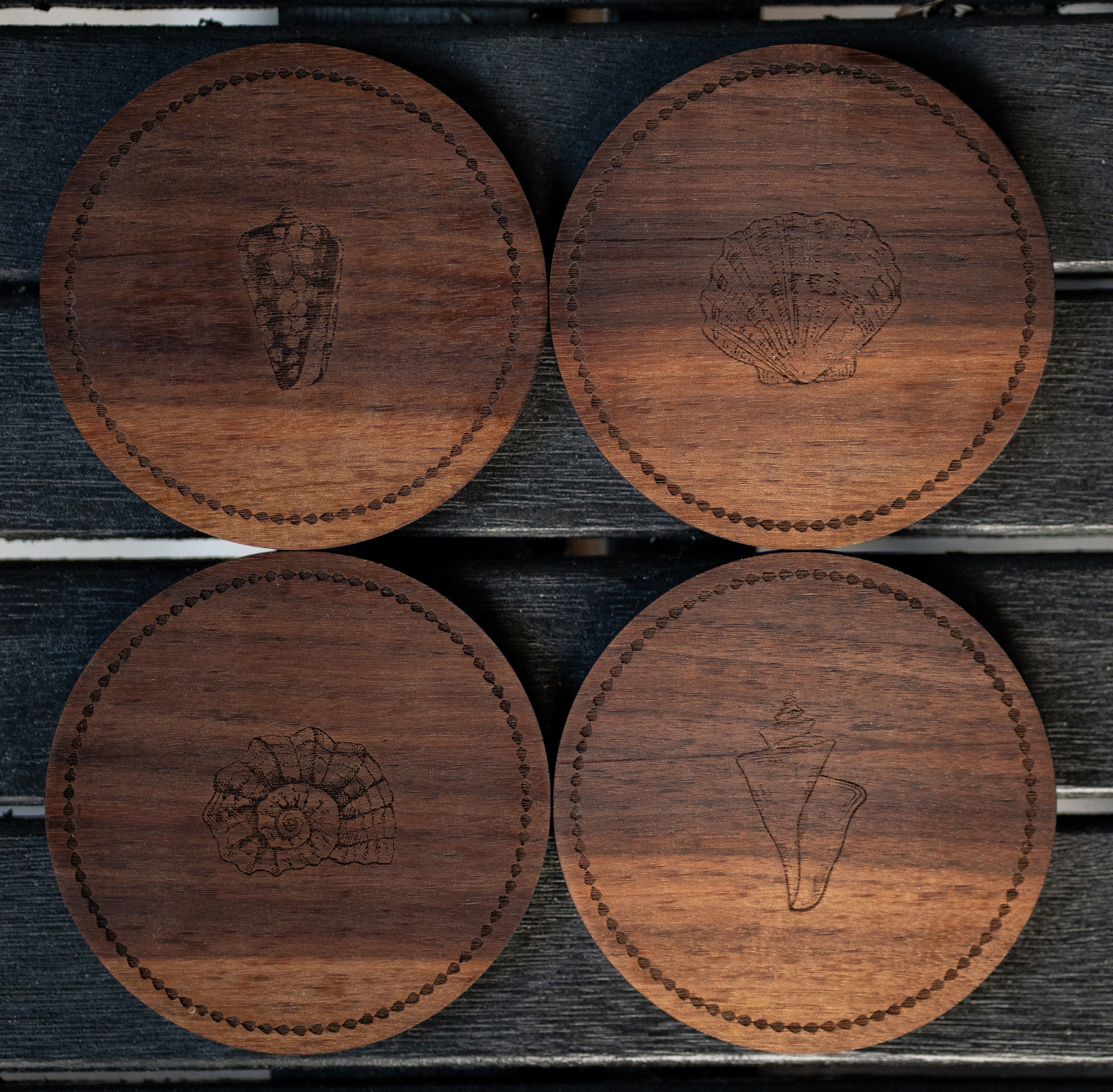 Round Shell Coasters