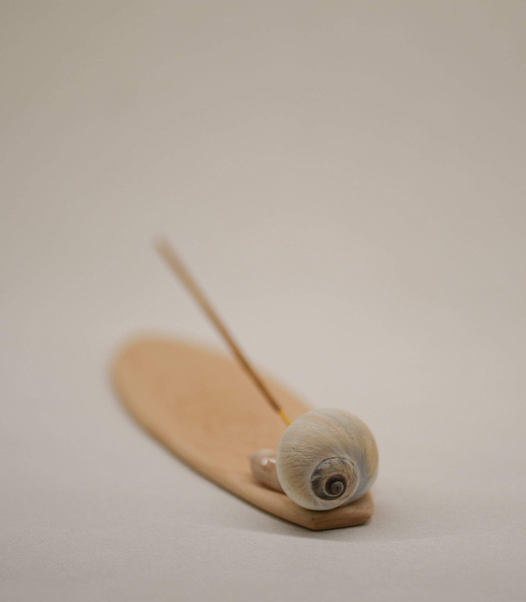 Seashell Incense Holder