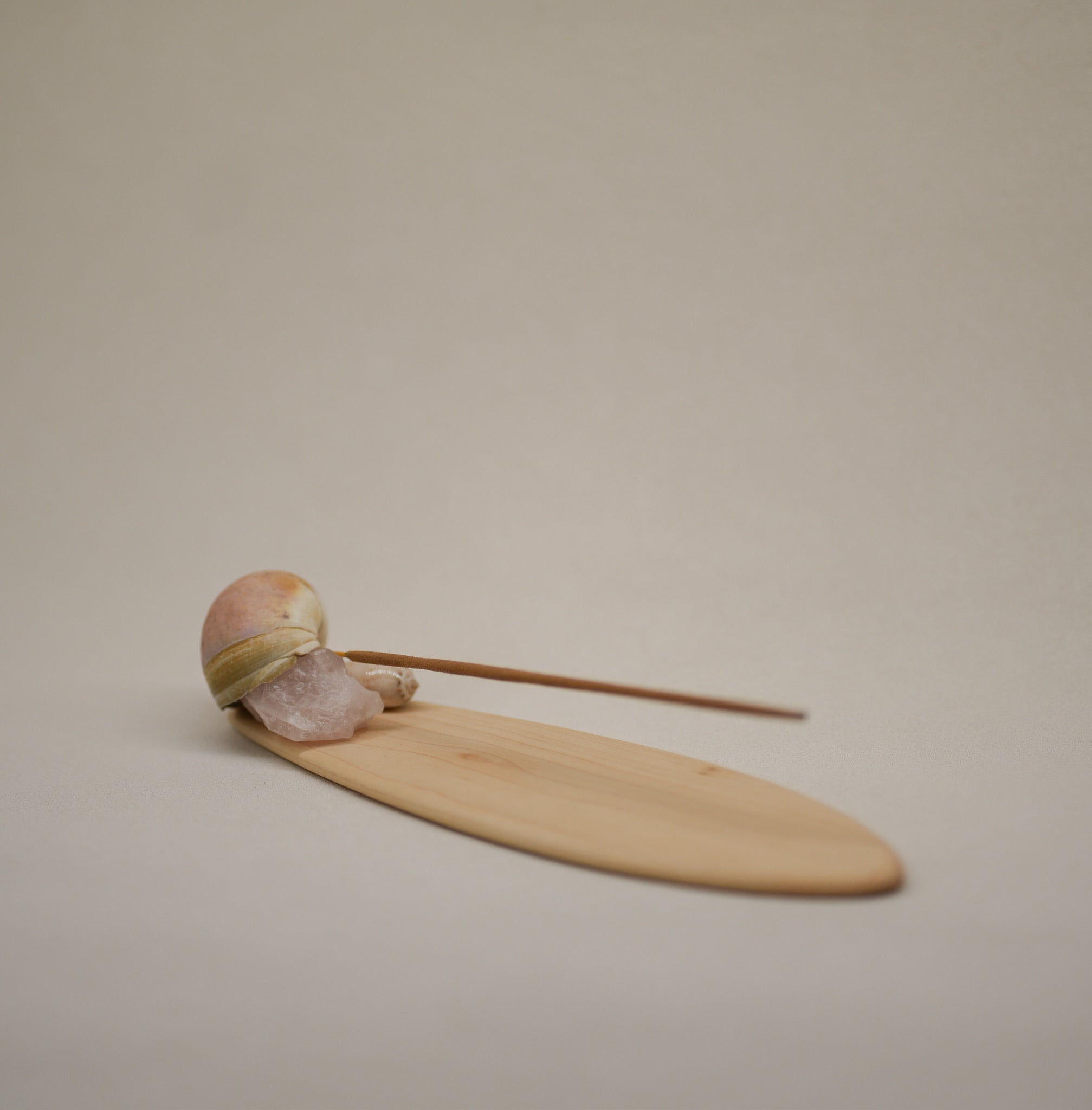 Seashell Incense Holder