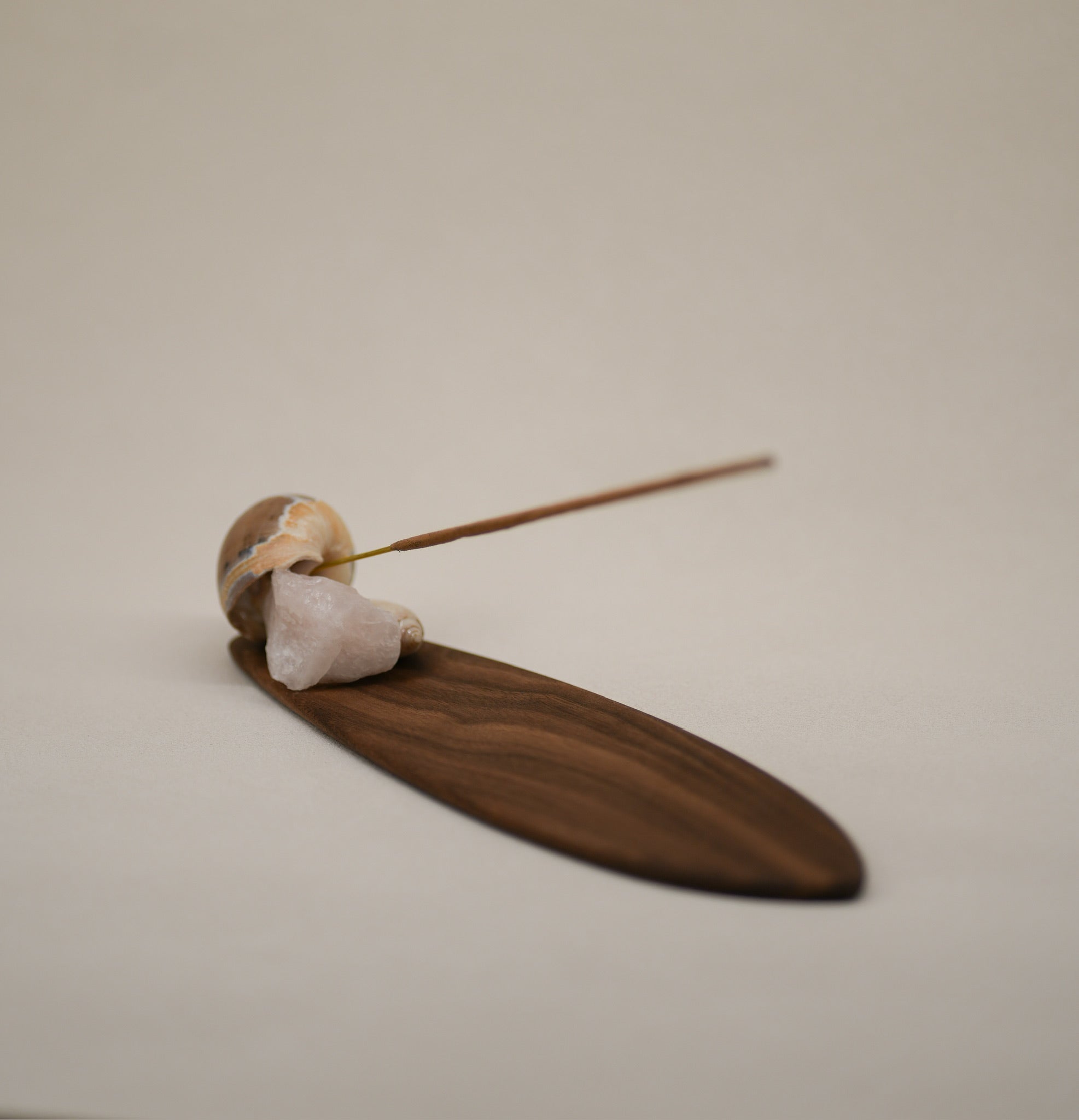 Seashell Incense Holder