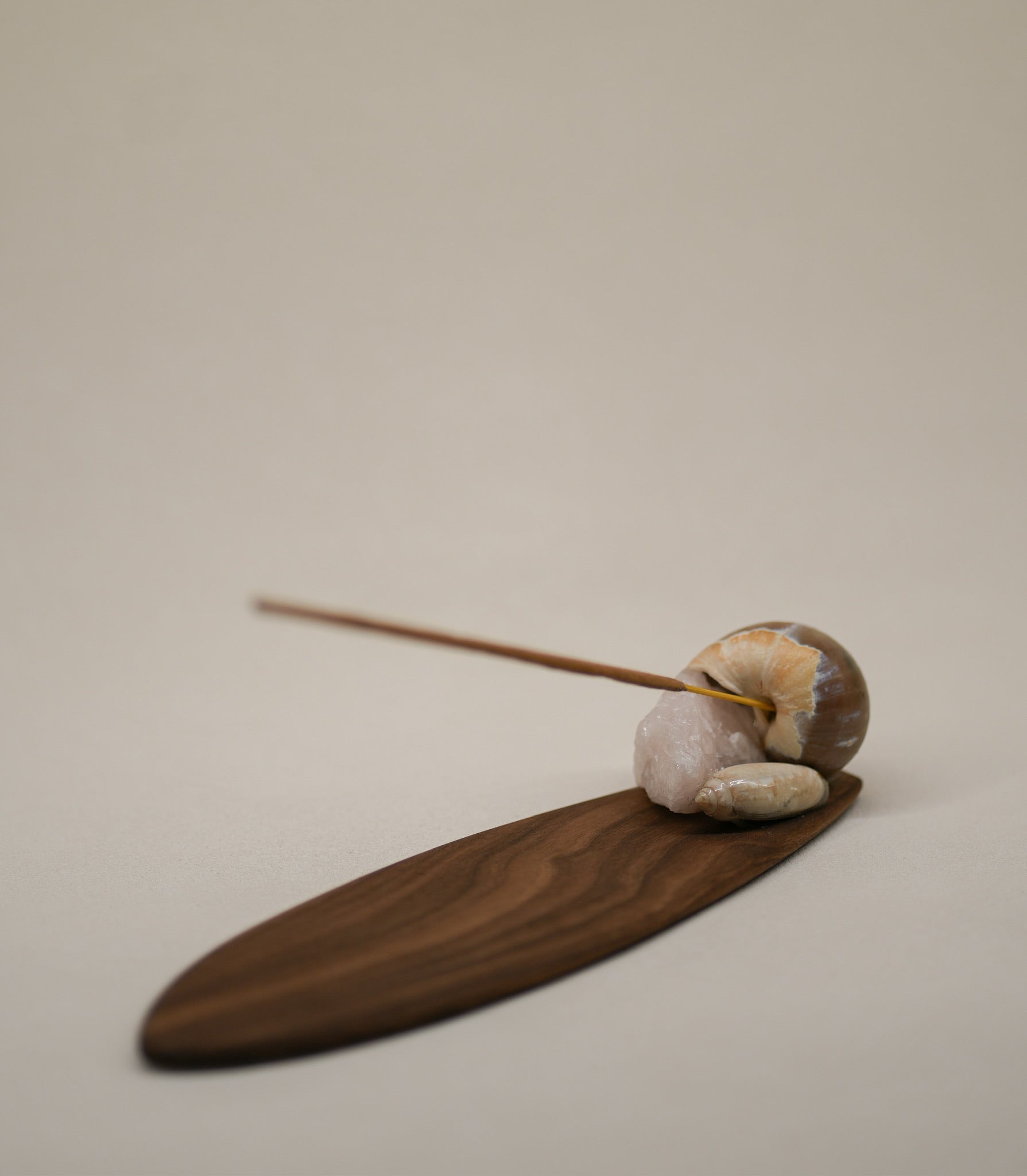Seashell Incense Holder