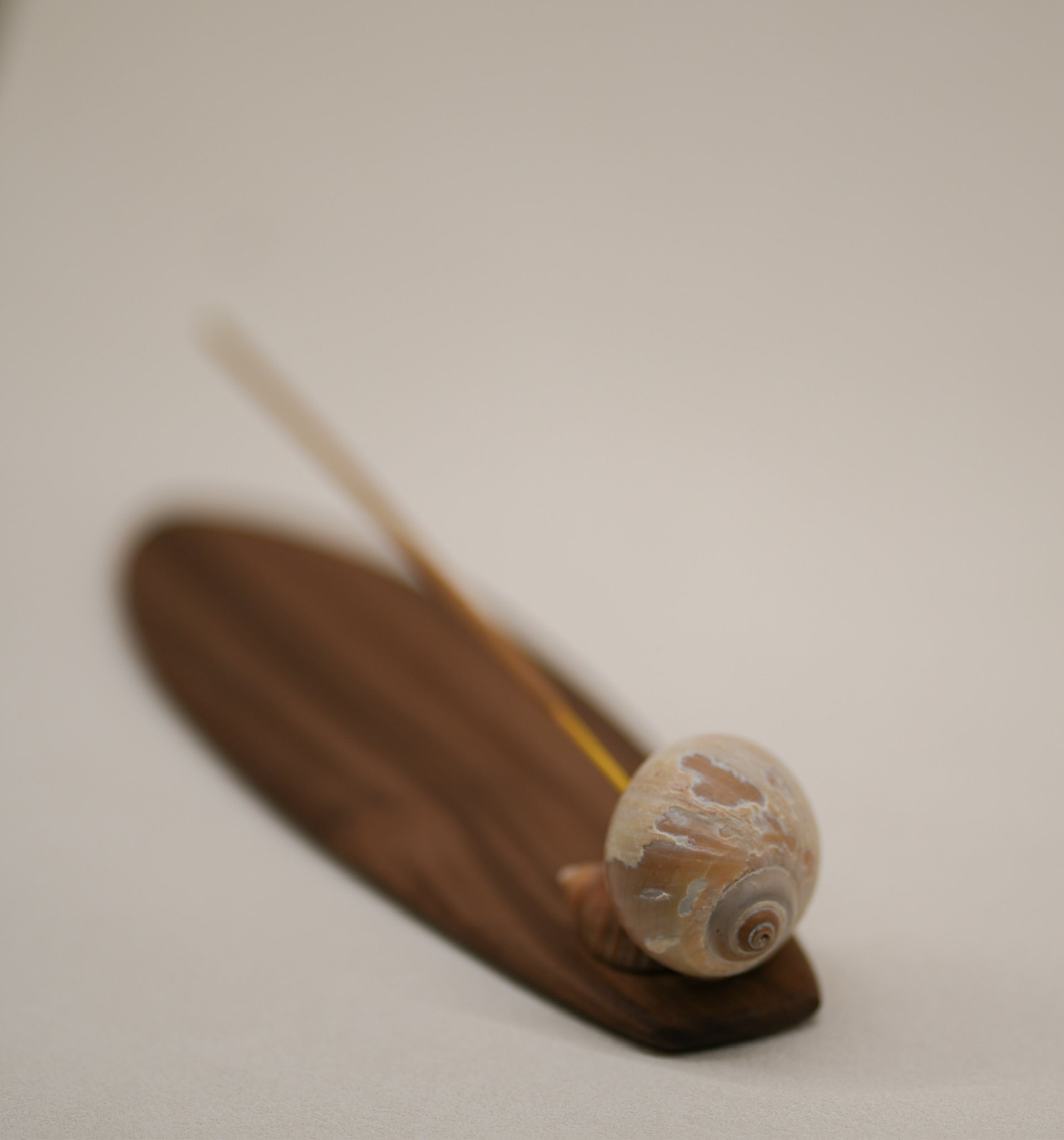Seashell Incense Holder