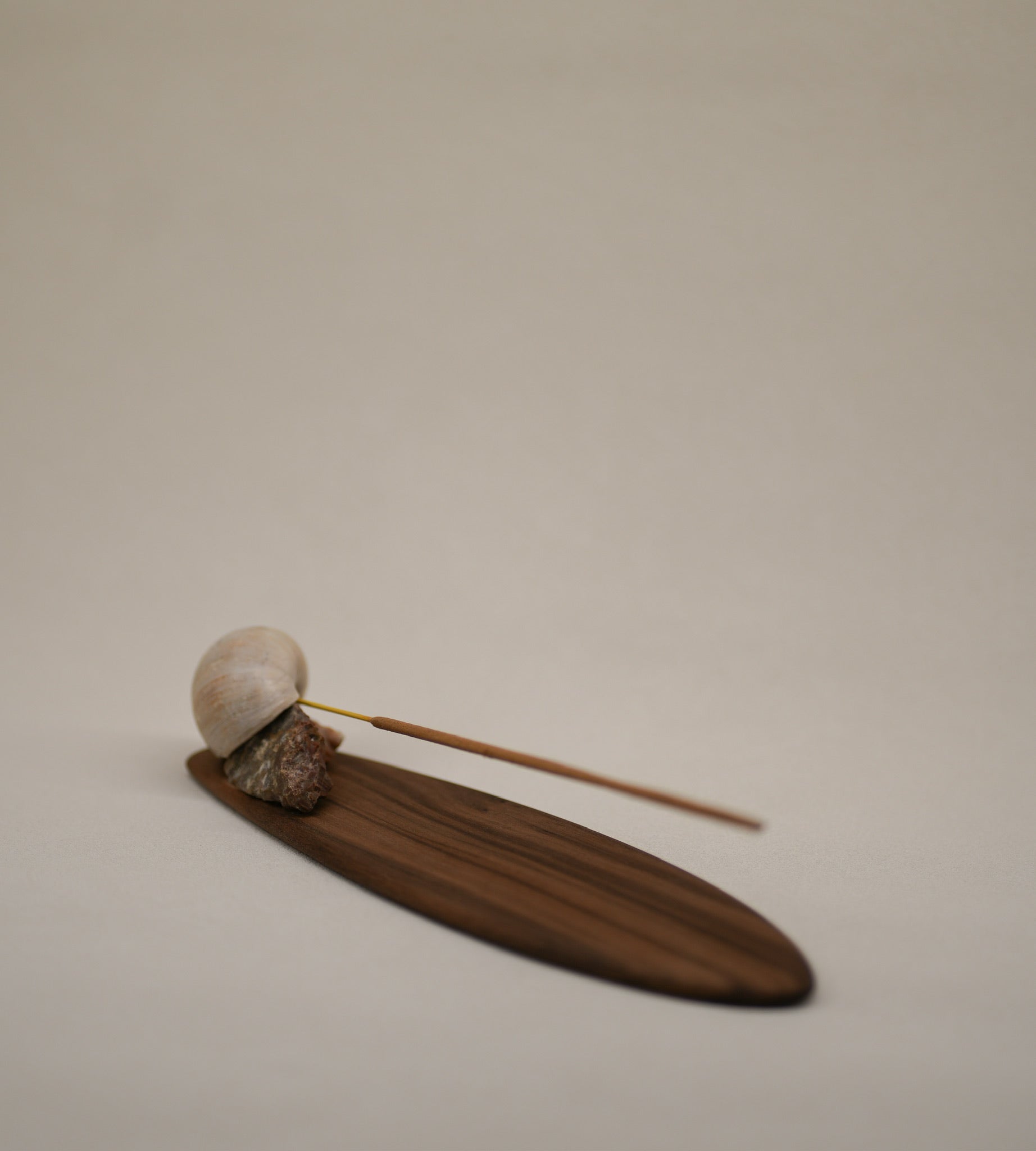 Seashell Incense Holder