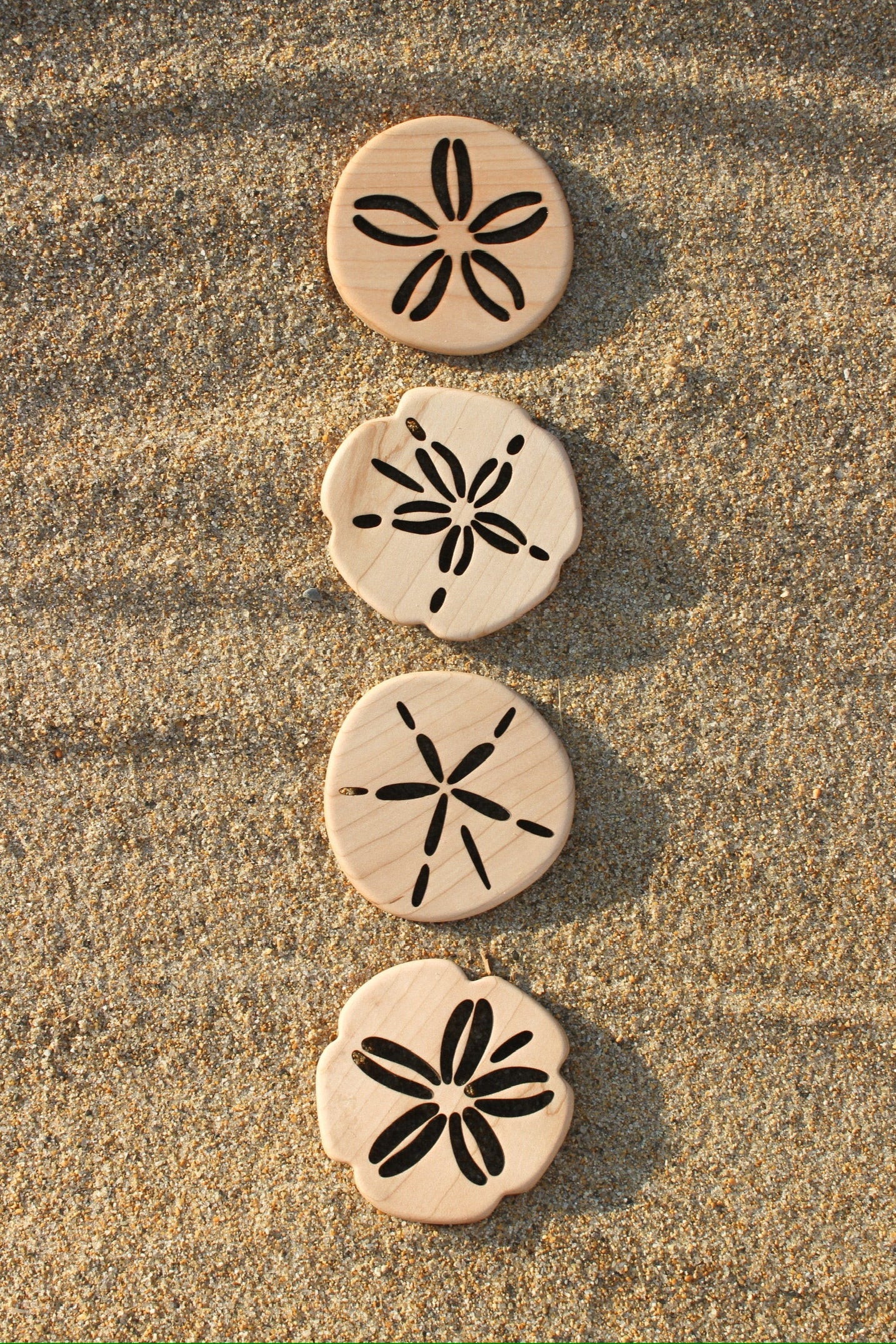 Sand Dollar Coaster