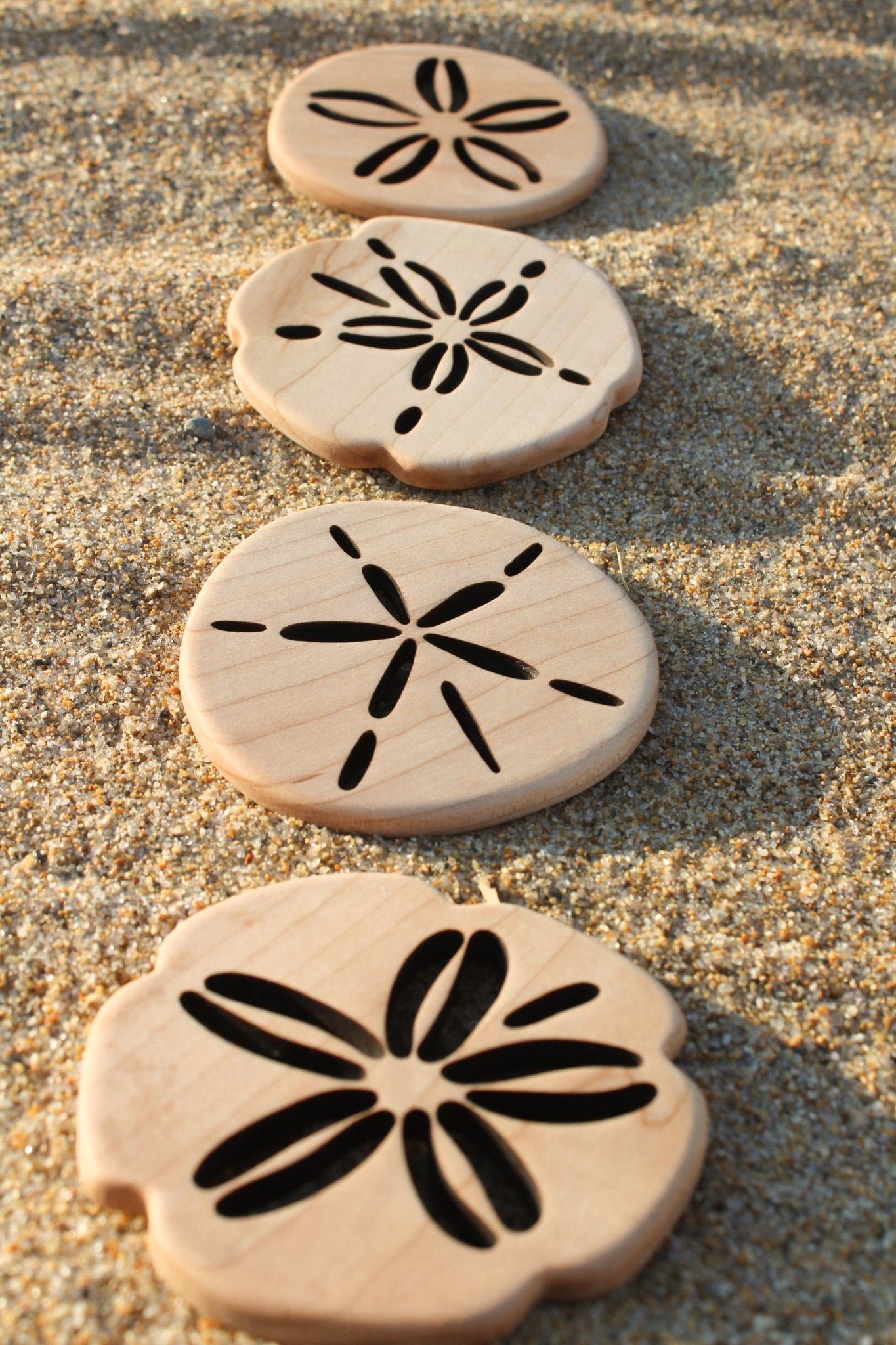 Sand Dollar Coaster
