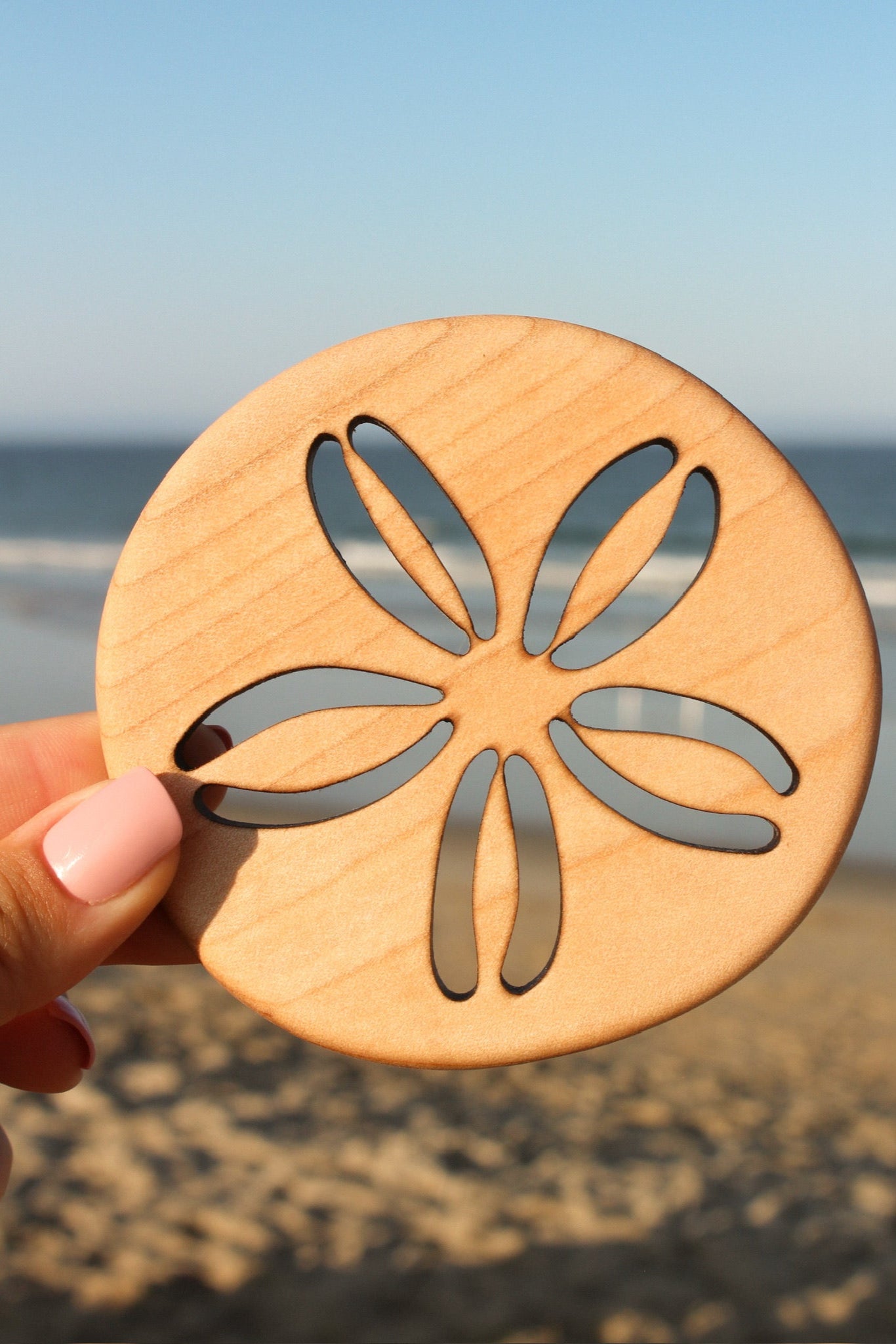 Sand Dollar Coaster